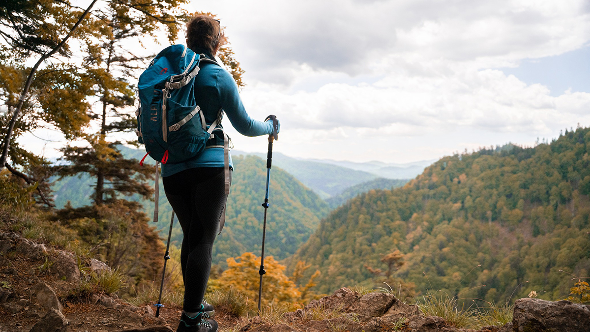 Plecak turystyczny o pojemności 24 litrów - Alpinus Teno